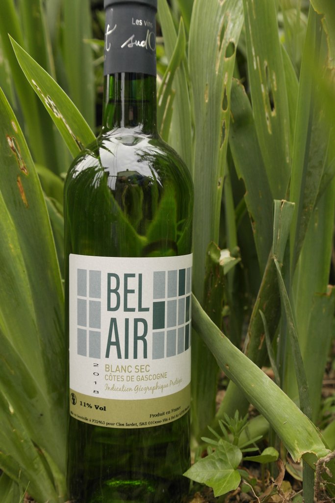 Bel Air | Côtes de Gascogne | Vin Blanc Sec