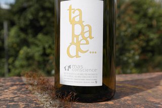 tapade mas conscience terrasses du larzac languedoc blanc cave le petit grain rieumes