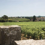 Vins de Bourgogne Cave le petit grain rieumes