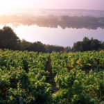 Vins de Loire Cave Le Petit Grain Rieumes