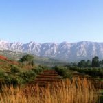 Vins de Provence Cave Le Petit grain Rieumes