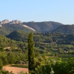Côtes du Rhône Cave Le Petit Grain Rieumes
