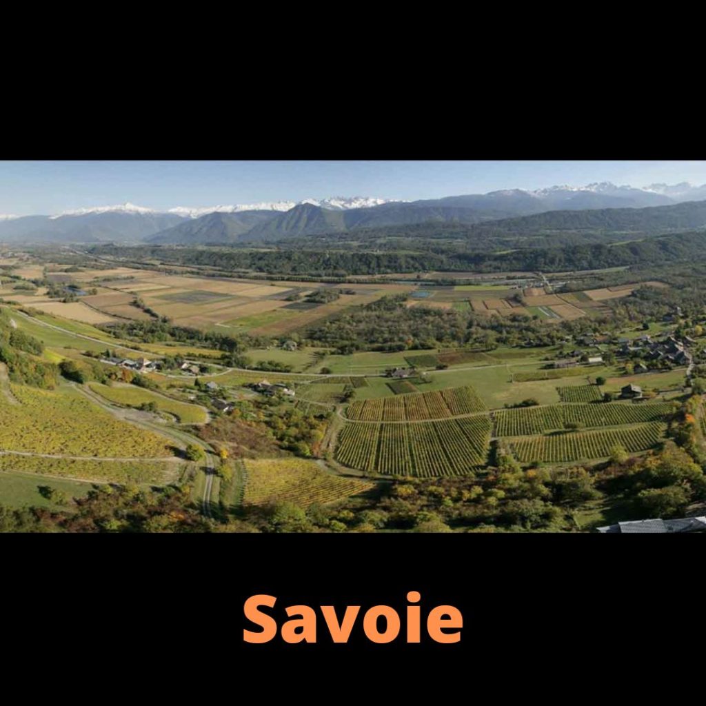 Vins de Savoie Cave Le Petit Grain Rieumes france vins choix sélection