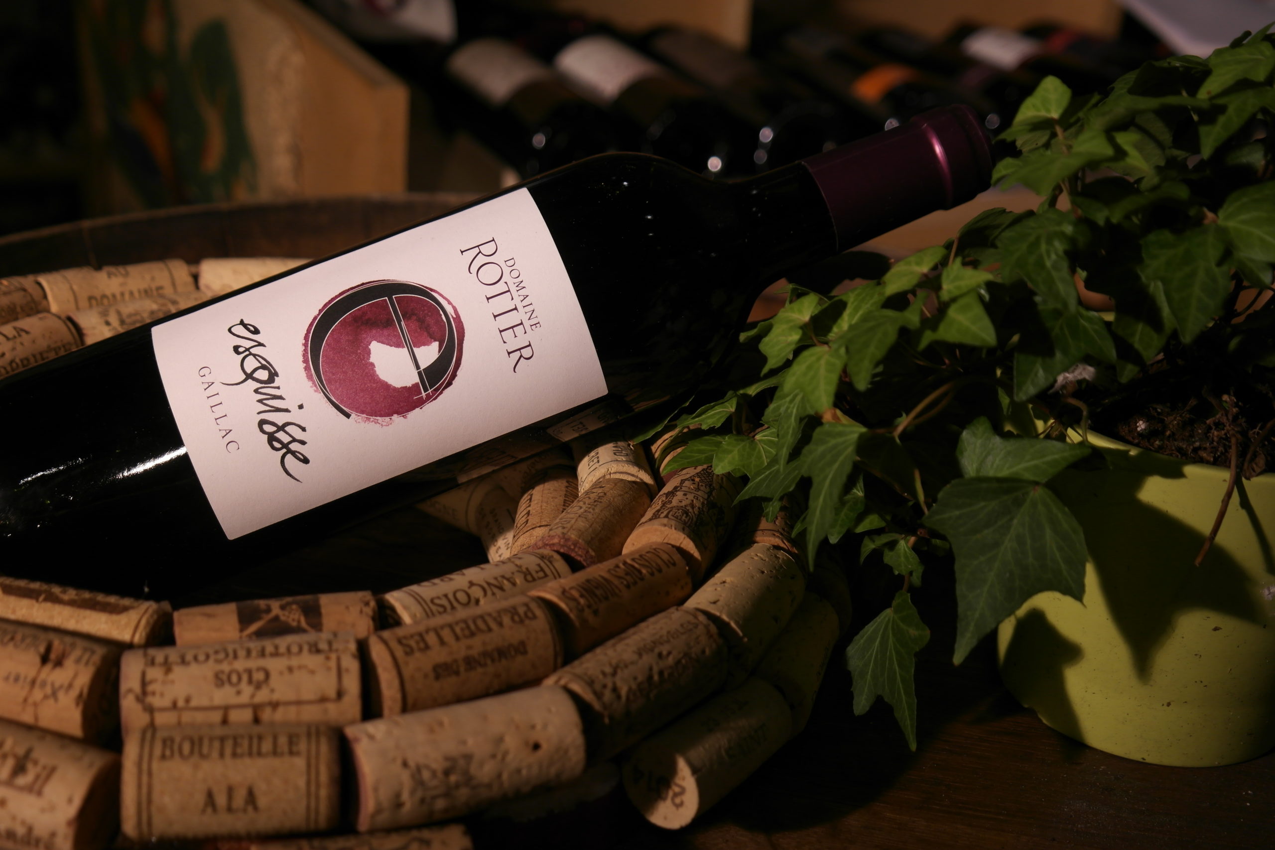 Domaine Rotier Esquisse rouge