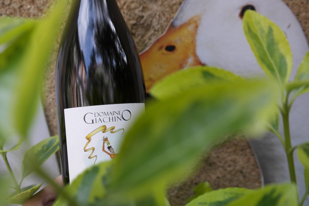 giachino altesse