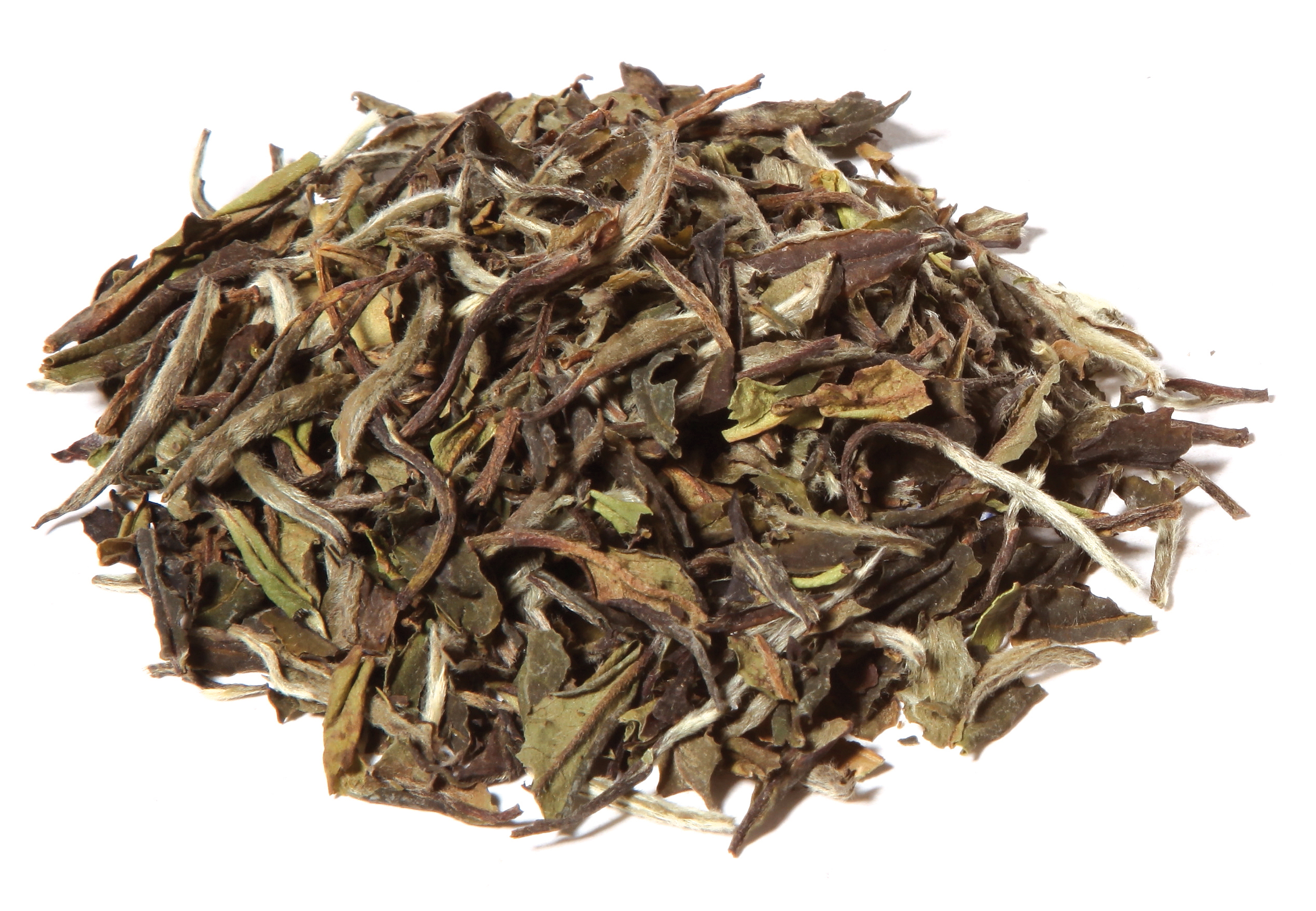 cave le petit grain thé blanc chine pai mu tan alveus vente détail