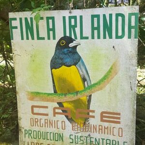 finca irlanda 3