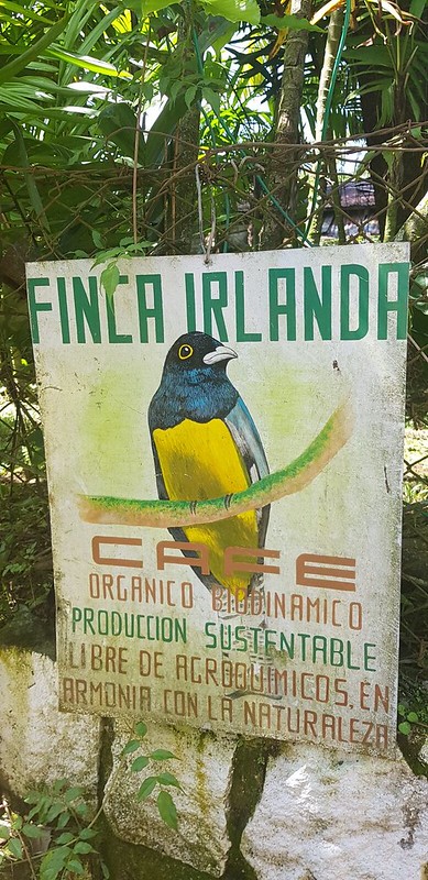 finca irlanda 3