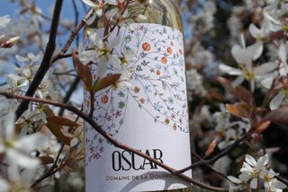 oscar blanc dourbie languedoc sec apéro cave le petit grain rieumes