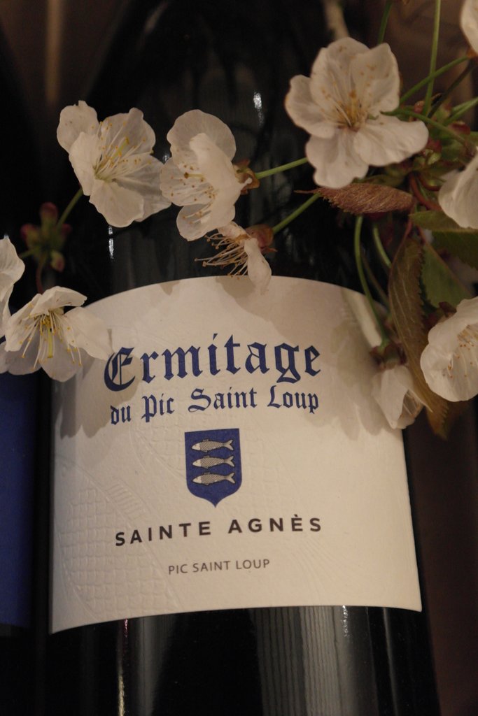 saint agnes ermitage du pic