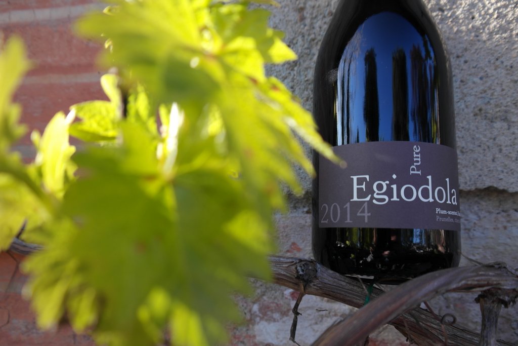 egiodola brau