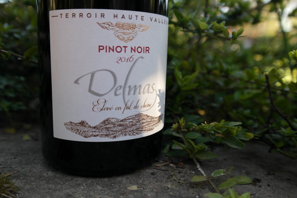 pinot noir delmas