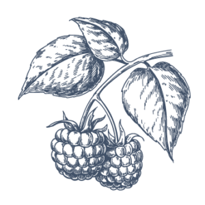 ic-framboise