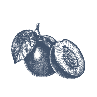 ic-mirabelle