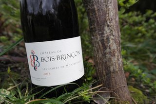 saules de montbenault bois brinçon cave le petit grain rieumes