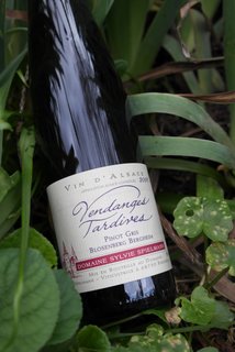 sylvie spielmann alsace pinot gris ve,dages tardives bergheim grand cru blang cave le petit grain rieumes