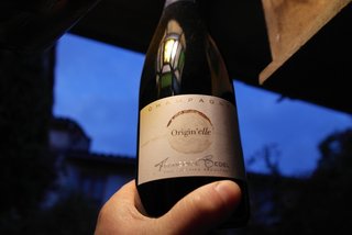 origin’elle françoise bedel champagne biodynamie marne cave le petit grain rieumes