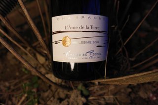 l’âme de la terre françoise bedel champagne biodynamie marne cave le petit grain rieumes