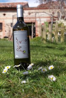 l’estela domaine montesquiou jurançon pyrénnées cave le petit grain rieumes
