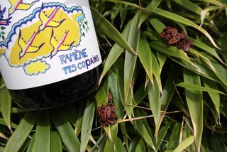ramènes tes copains sylvie spielmann edelwicker bergheim alsace blanc sec cave le petit grain rieumes
