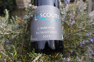 ambroisie chateau lascours pic saint loup rouge cave le petit grain rieumes