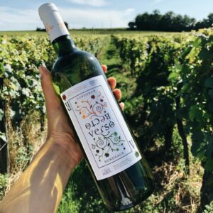 Vins blanc Cave Le Petit Grain Rieumes bucolique franc baudron bordeaux france vins choix sélection