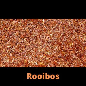 Rooibos