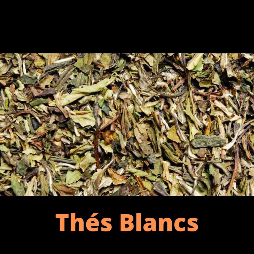 Thés Blancs