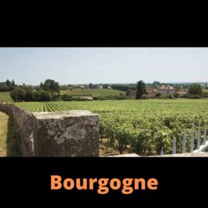 Bourgogne & Beaujolais Rouge