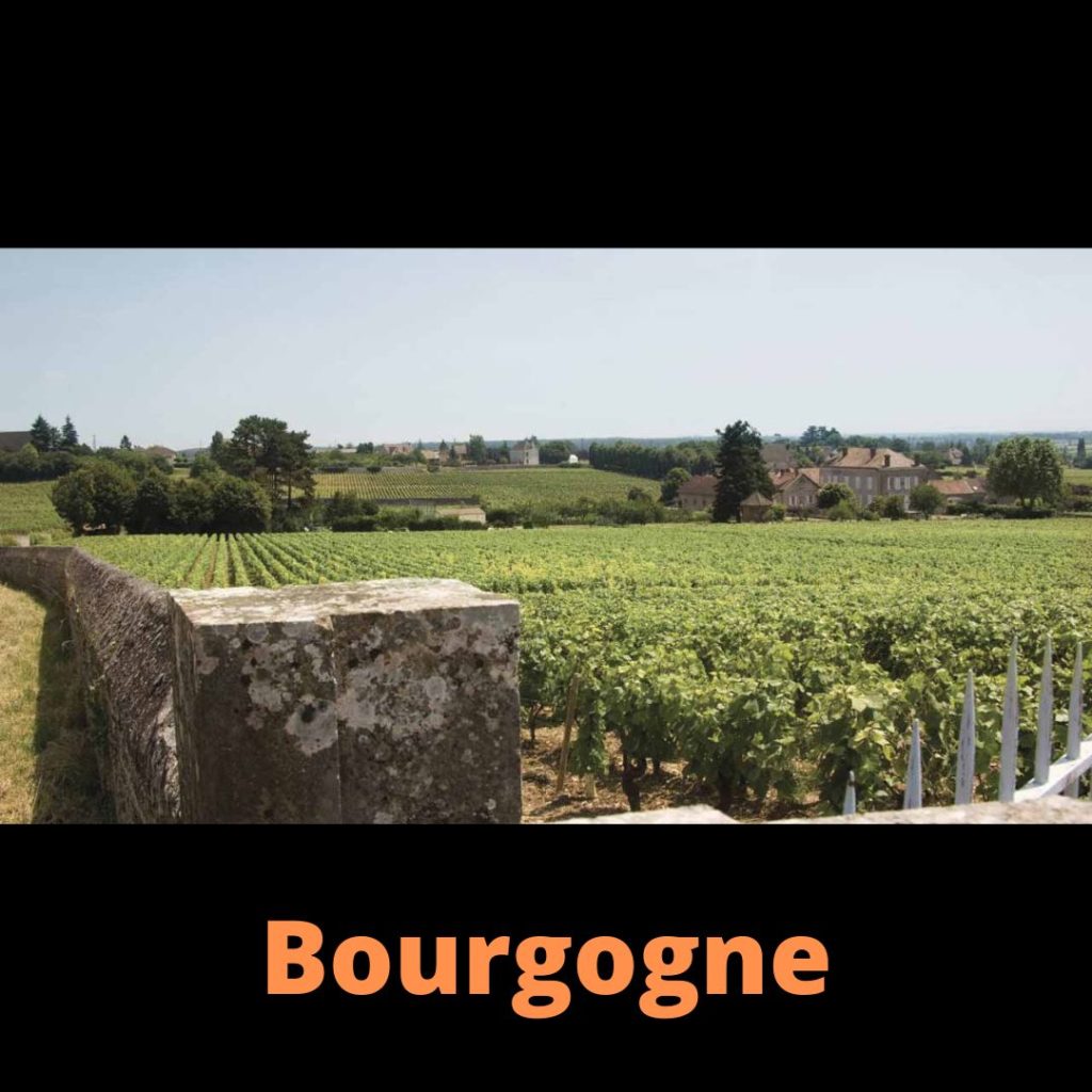 Bourgogne & Beaujolais Rouge