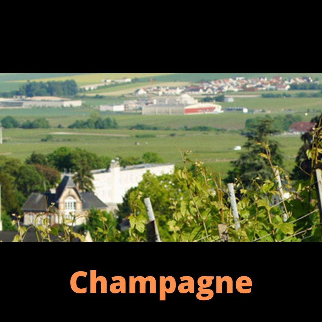 Vins de Champagne Cave Le Petit Grain Rieumes france vins choix sélection
