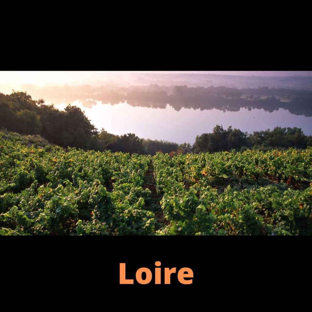 Vins de Loire Cave Le Petit Grain Rieumes france vins choix sélection