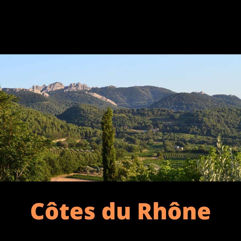 Vins du Rhône Cave Le Petit Grain Rieumes france vins choix sélection