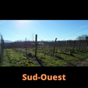 Sud-Ouest Rouges