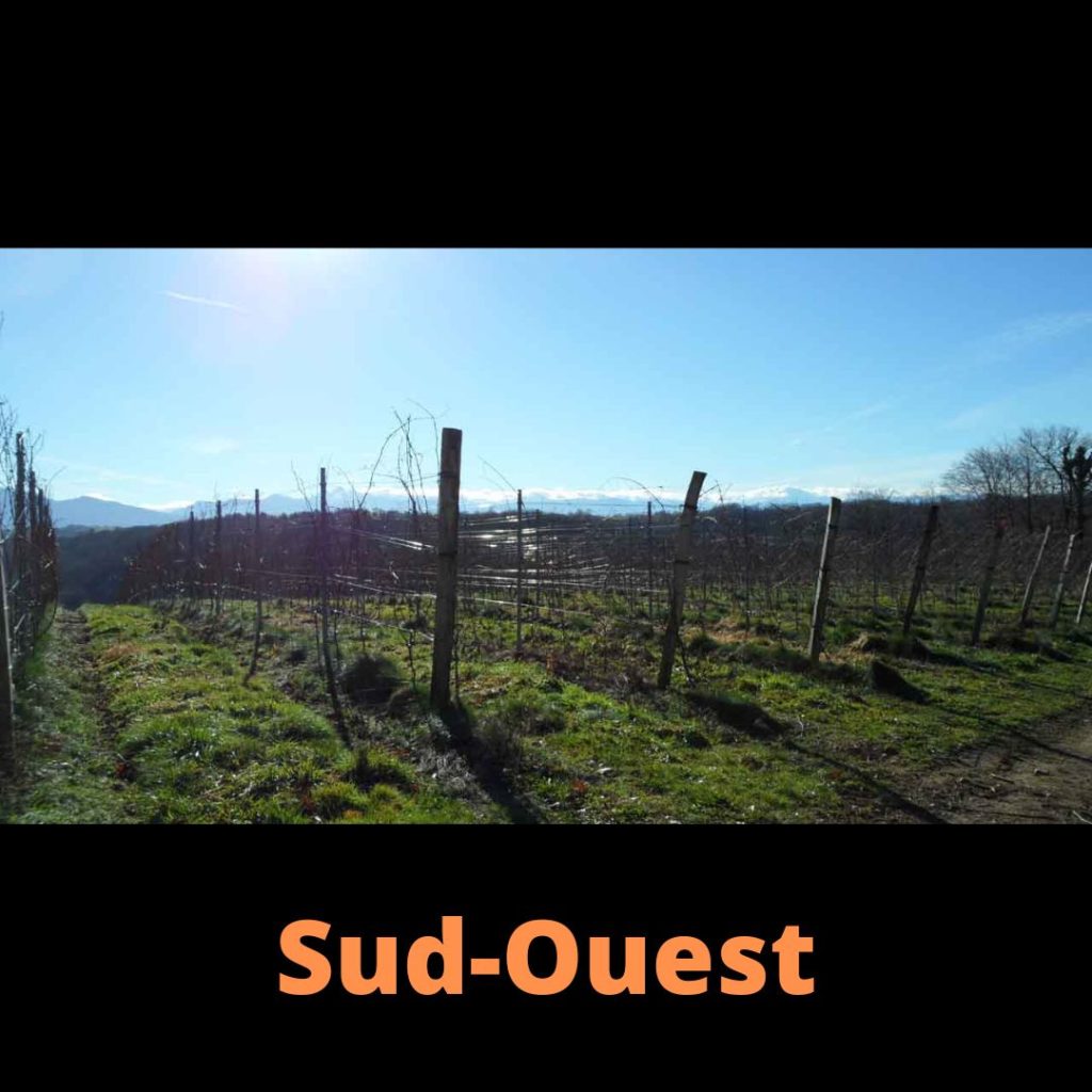 Vins du Sud-Ouest Cave Le Petit Grain Rieumes france vins choix sélection