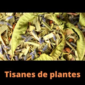 Tisanes de Plantes